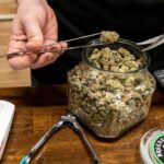 Do Medical Cannabis Makes One Hungry?