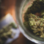 medical cannabis
